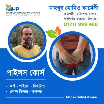 Piles পাইলস